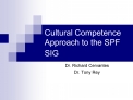 Cultural Competence Approach to the SPF SIG